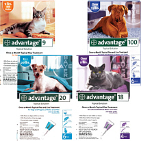 Advantage for Cats & Dogs / Clearance